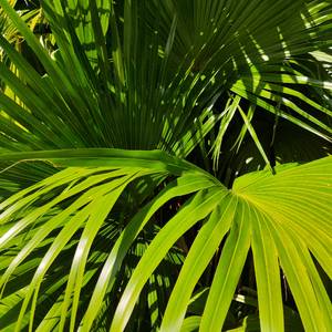 别c我⋯啊⋯嗯上课呢高H酒店
